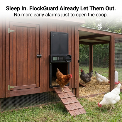 FlockGuard — Automatic Coop Door